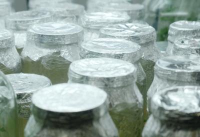 Ruskinje umotavaju TEGLE SA ZIMNICOM U ALU FOLIJU: Kad saznate razlog - i vi ćete to isto odmah učiniti!