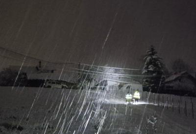 Ovo je istina o nestanku struje u Loznici: Otkrivene malverzacije na štetu države - Tri advokatske kancelarije naplatile 300 MILIONA ODŠTETE za seču drveća u zoni dalekovoda i niskonaponske mreže
