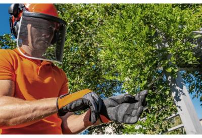 Velika potražnja, a ponude nema: Posao plaćen i do 100 evra DNEVNO, a radnici nedostaju