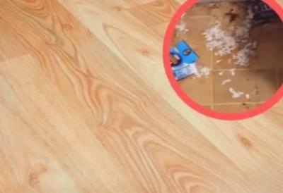 "BLJAK, ŠTA JE TO BELO NA PODU?!" Nije bila u stanu nedelju dana, a onda ju je dočekao PRIZOR OD KOG SE PREVRĆE ŽELUDAC!