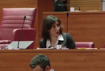 (VIDEO) Poslanicu Daliju udarila struja u Hrvatskom saboru: 