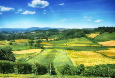 Država daje pare za poljoprivredu: Konkurs za subvencije koji farmeri ne smeju da propuste