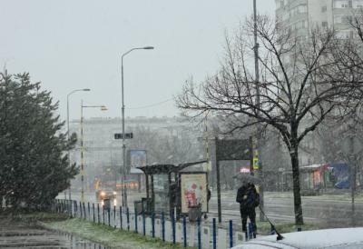 Zabeleo se Beograd: Sneg već prekrio skoro celu Srbiju, a temperature idu do debelog minusa (FOTO)