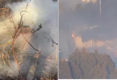 Tragedija tokom organizovanog paljenja trave: Stradao radnik, potraga za nestalim u toku