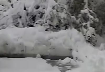 Sneg napravio haos na ovoj srpskoj planini: Putari na terenu, policija prati situaciju - moguća zabrana saobraćaja za šlepere