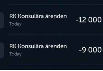 Švedska vlada naplaćuje spas: Evakuacija avinom iz rata košta 50.000 kruna