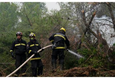 (VIDEO) Dim nad Novim Sadom: Buknuo požar na deponiji
