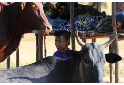 Gana pokreće istorijsku inicijativu: Vekovima stara nepravda prema Afrikancima mora biti priznata