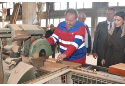 "NASTAVLJAMO DA GRADIMO SRBIJU" Mesarović najavila 260 miliona dinara za rekonstrukciju elektromreže u Boru u 2026.