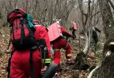 Nestala baka (77) u Zvezdarskoj šumi: GSS i policija na terenu, u potragu su uključeni i psi tragači