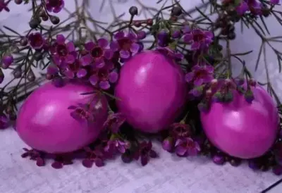 Najlepša KRALJEVSKA LJUBIČASTA vaskršnja jaja bez muke i veštačkih farbi - Evo kako da dobijete svetlucavu nijansu u jednom potezu