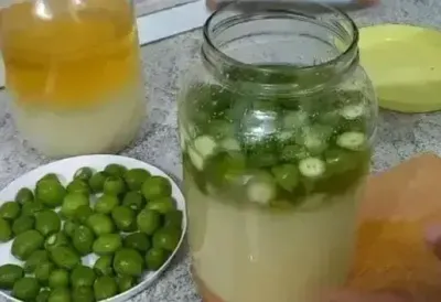 Manastirski napitak za ŠTITNU ŽLEZDU koji se prenosi generacijama - pravi se od 3 sastojka, pije se ujutru i mnogi kažu da vraća energiju i balans