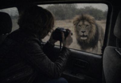 Stravična tragedija šokirala svet: Devojku iz serije "Igra prestola" ubio lav na safariju