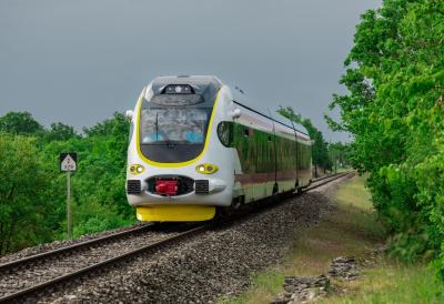 Voz naleteo na oboreno drvo pa iskočio iz šina: Ima povređenih, hitne službe munjevito stigle na teren