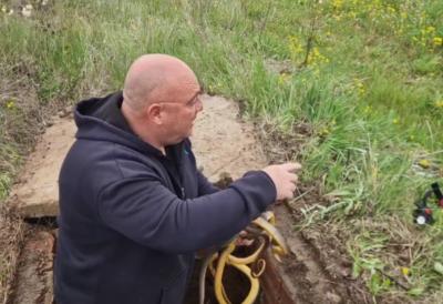 Zmije opsele Srbiju, stručnjaci imaju pune ruke posla - jedna dominira, ali ima i OTRVOVNICA: Ako vas ujede, ovaj korak je obavezan