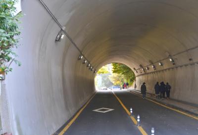 Haos u tunelu kod Sozine: Podigla se prikolica šlepera pa oštetila rasvetu, saobraćaj otežan (VIDEO)