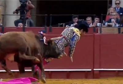 Kralj toreadora na ivici smrti: Bik brutalno izbo legendarnog matadora pred punom arenom, zgrabio ga otpozadi i zario rog (VIDEO)