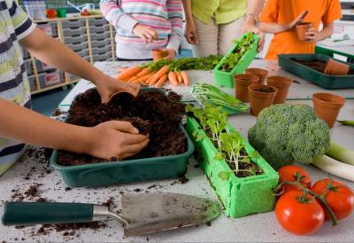Alarmantan pad interesovanja za poljoprivredne škole: Sve manje đaka upisuje ove smerove, a pojedini obrazovni profili suočavaju se sa potpunim gašenjem - Glavni problem nedostatak učenika