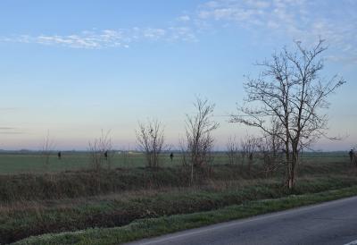 Izbegnuta katastrofa na severu naše zemlje: Ovo je moglo da paralizuje Srbiju i Mađarsku, sprečen opasan napad na gasovod u poslednjem trenutku
