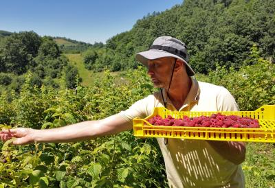 Dnevnice i do 90 evra, a jedan posao donosi i 2.000 mesečno: Svi sezonci sada ovo rade, zarada za jedan dan kao nekad za nedelju dana