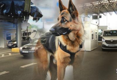 Skupa greška na granici: Morate obavezno da prijavite da ovo imate kod sebe, u suprotnom sledi kazna od par hiljada evra