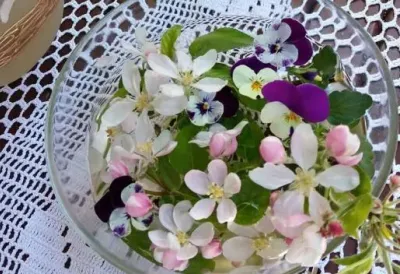 Vrba ZA RAĐANJE, kopriva protiv ZLIH SILA - Danas, na CVETI, obavezno spremite CVETNU VODU za zdravlje i napredak