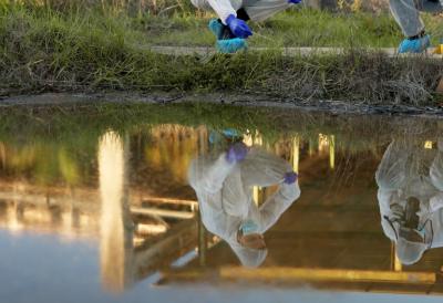 Devojčica (7) pronađena mrtva u jezeru: Majka je ostavila kod nove dadilje a onda usledio užas ''Uopšte nije bila svesna opasnosti''