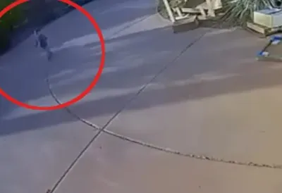 DIVLJA ZVER ZGRABILA DVOGODIŠNJEG MALIŠANA: Kamere zabeležile dramu, a onda usledio još jedan užas (VIDEO)