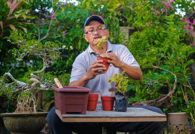 Ne traži sunce, a pravi spektakl: Ova biljka menja izgled terase i dvorišta iz korena