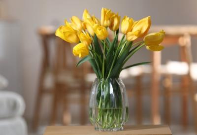 Trik zbog kog lale u vazi ostaju sveže i do 2 nedelje: Cvećari koriste ovo da buket ostane uspravan i lep