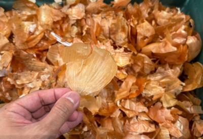 SRBI ovo MASOVNO bacaju, a čuva od raznih BOLESTI: Čuveni travar tvrdi da je moćnija od svakog leka, a kora se ne ljušti - evo kako se PRAVILNO JEDE