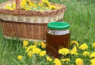 „ZLATNI SIRUP“ koji čisti jetru i pluća: Zaboravljeni narodni recept za med od maslačka bez konzervansa – Prirodna infuzija zdravlja