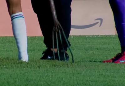 Ogroman MEHUR je podigao teren na prvenstvenoj utakmici: Da li ste ikad videli nešto slično? (VIDEO)