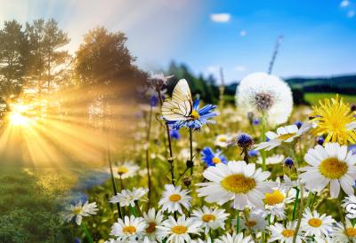 Ledeno jutro, a onda obrt: Srbija na udara naglog otopljenje, temperatura i  do 22 stepena – mraz u zoru, sunce u podne, a evo gde preti magla i promenljivo nebo