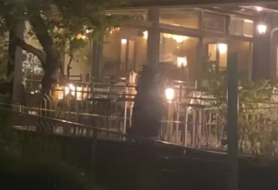 Predao se osumnjičeni za pucnjavu u Sarajevu: Ranio dvojicu braće u bašti restorana - dobro poznat policiji