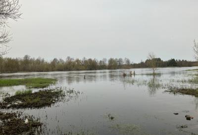 Izlile se Zapadna Morava i Đetinja: Poplavljeno stotine hektara, voda krenula da ulazi i u dvorišta - od ponoći zabrana saobraćaja na ovoj deonici puta