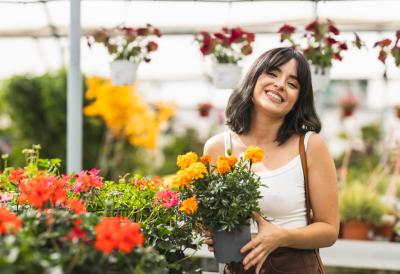 Biljka koja ulepšava terase i dvorišta, a tera insekte: Proleće je idealno vreme za sadnju, a održavanje je lako