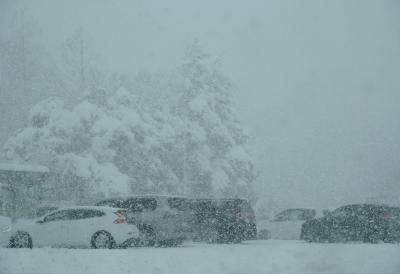 Pronađeno telo Duška Blažića: Sneg na čuvenoj palninini sprečio policiju da dođe do tela