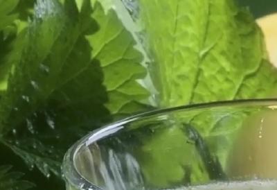 Koje je to ŠVEDSKO PIĆE koje je zaludelo svet? Pravi se od BILJKE KOJA U SRBIJI RASTE NA SVAKOM KORAKU, a neverovatno dobro čisti lice!