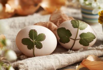 Farbanje uskršnjih jaja LEKOVITIM TRAVAMA je tradicija u Srbiji - Rastu nam ispred kuće, ostavljaju divne boje, a sve bez trunke hemije