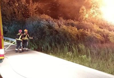 Požar zahvatio zaštićeni ornitološki rezervat Orepak: Borba sa stihijom trajala celu noć, izgorele desetine hektara