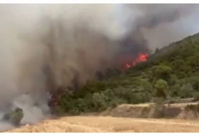 Besni šumski požar: Vatra zahvatila 330 hektara, naređena hitna evakuacija - vetar dodatno otežava gašenje (VIDEO)