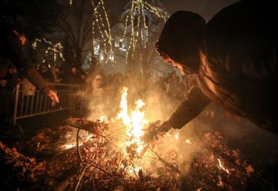 Apel "Srbijašume" pred Božić: Seča badnjaka kažnjiva - Evo kako da ispoštujete tradiciju odgovorno i zakonito