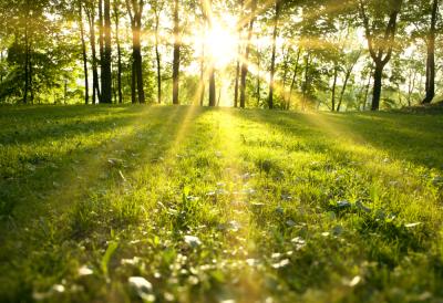 Neverovatna pojava u Srbiji u narednim danima: Prava "eksplozija proleća" i temperatura čak do 20 stepeni