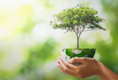 Cilj zaštita 30 odsto okeana do 2030. godine