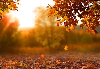 Danas pravo "proleće" u Srbiji: Temperatura do 22 stepena, a od ponedeljka stiže zahlađenje