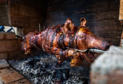 Na slavi v Srbiji se je s pečenko zastrupilo najmanj 15 ljudi, med njimi tudi otroci