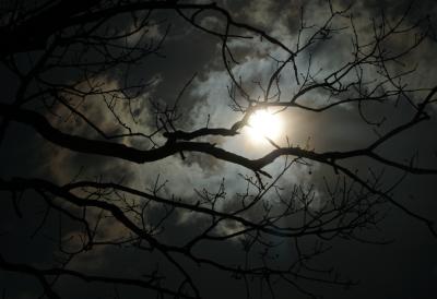 Spremite se za jednu od najhladnijih noći u Srbiji: Temperatura pada u minus, najkritičnije u kotlinama