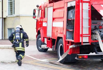"Požar se širio munjevitom brzinom" Meštani o požaru kod Doljevca - na licu mesta 11 vatrogasaca