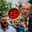 Sivi vukovi, Turska, Redžep Tajip Erdogan